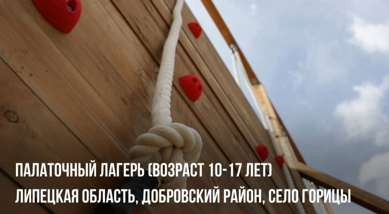 Дорогие друзья !.